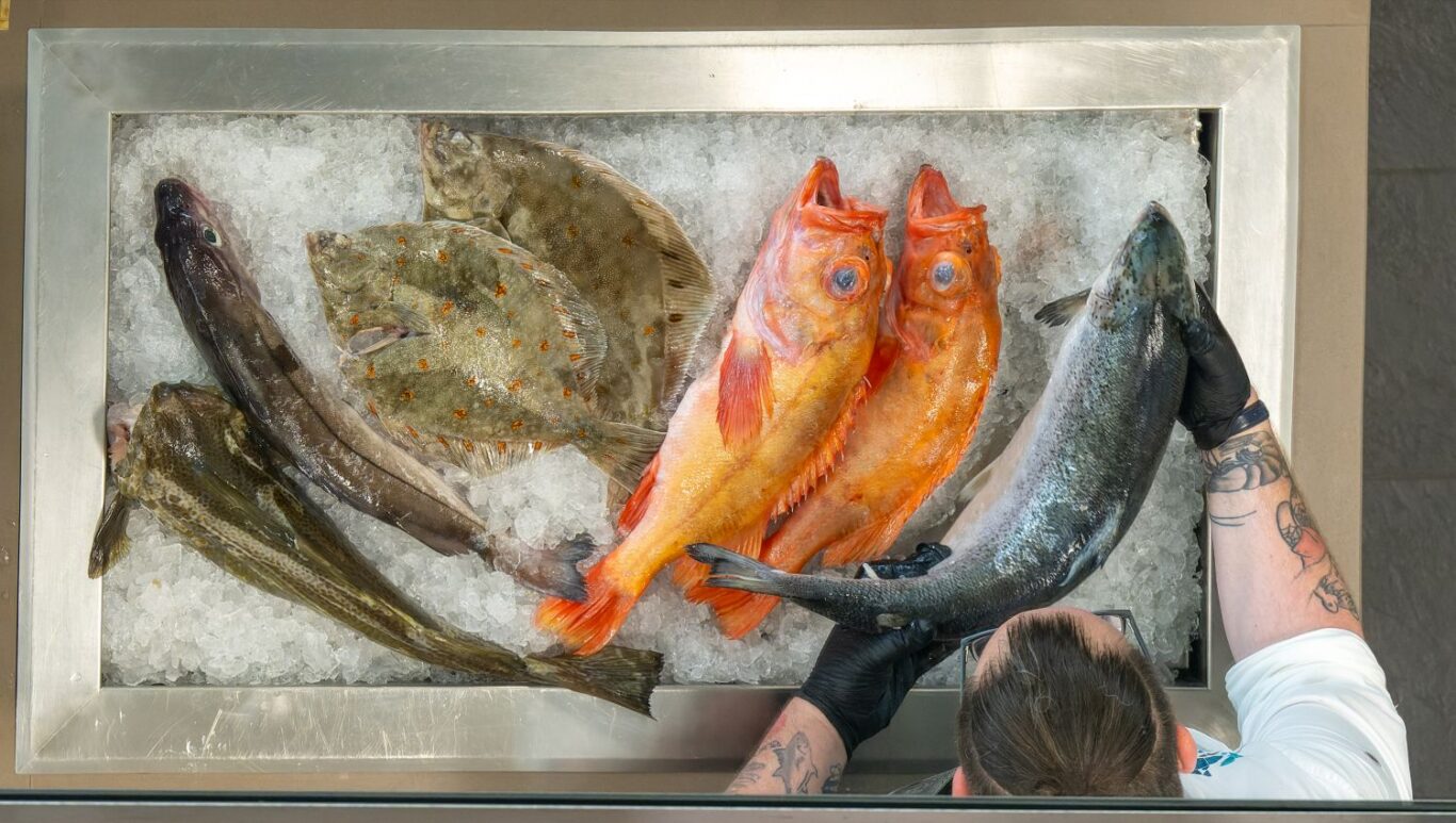 Fischbett bei der Kochshow im Fischkochstudio