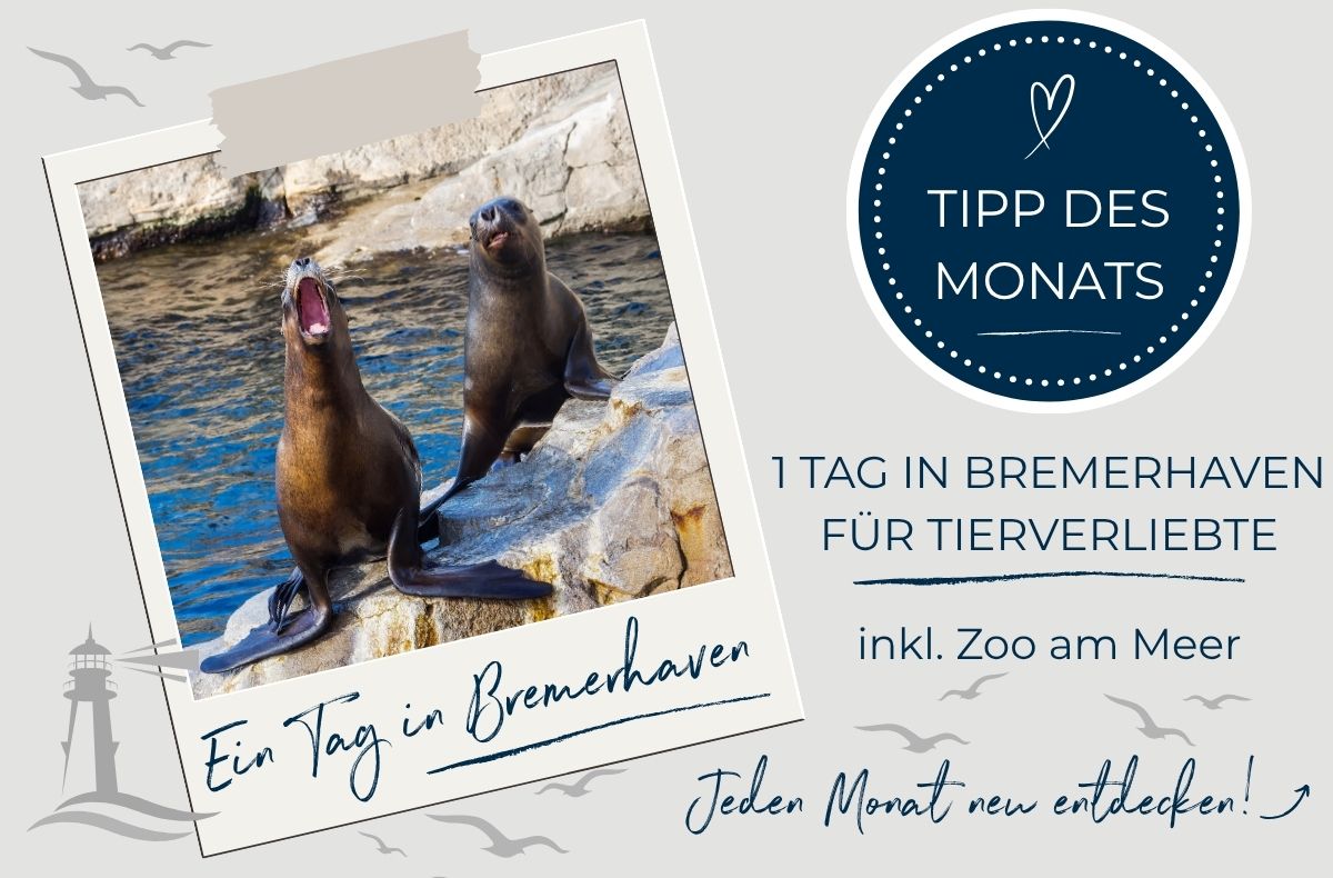 Grafik 1 Tag in Bremerhaven für...