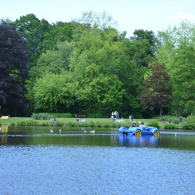 Bürgerpark Tretboot