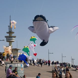 Drachenfest in Bremerhaven. Fliegende Drachen am Deich.