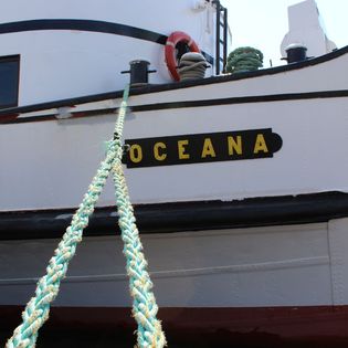 MS "Oceana" in Bremerhaven auf der Weser