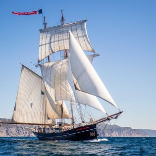 Wylde Swan auf hoher See unter Segeln