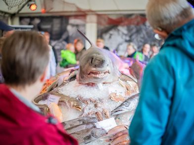 Im Fischbahnhof wird das populäre „Fischbett“ aufgebaut – hier dreht sich alles um den Genuss und das Wissen über Fisch.