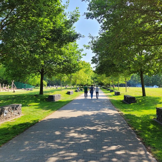 Breiter Weg durch grünen Park mit Schatten spendenden Bäumen, Spielplatz und spazierenden Menschen.