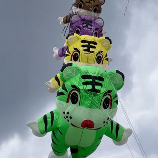 Drachenfest in Bremerhaven. Fliegende Drachen am Deich.