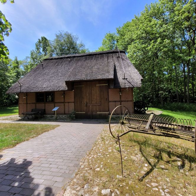 Historische Reetdachscheune mit altem Landwirtschaftsgerät im Vordergrund, umgeben von Bäumen.
