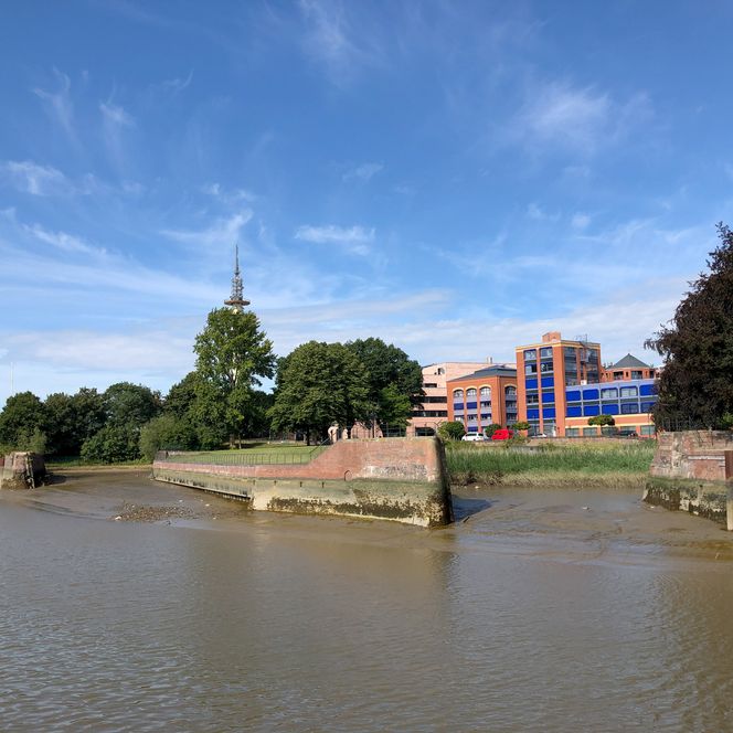 Das historische Wencke-Dock in Bremerhaven bei Ebbe, umgeben von Bäumen und modernen Gebäuden.