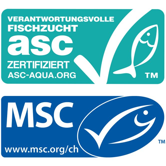 Logos ASC und MSC