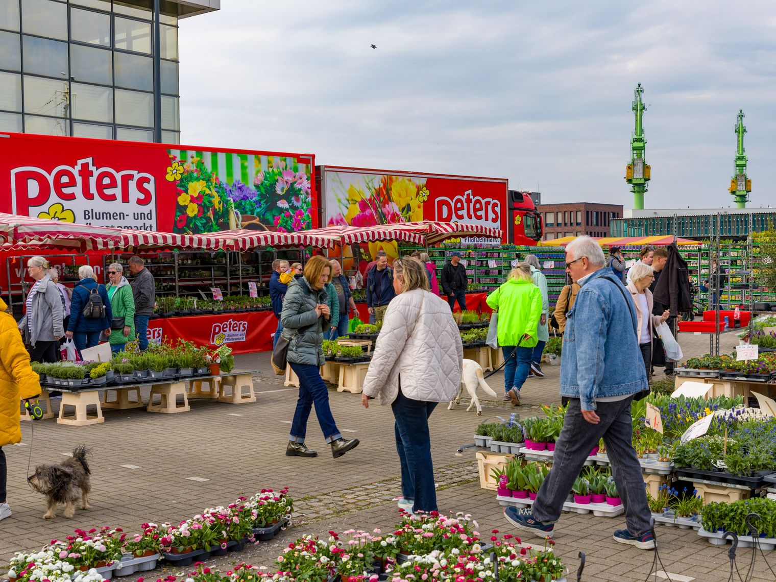 Blumen Peters stellt Blumen auf der Fischparty im Fischereihafen aus