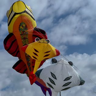 Drachenfest in Bremerhaven. Fliegende Drachen am Deich.