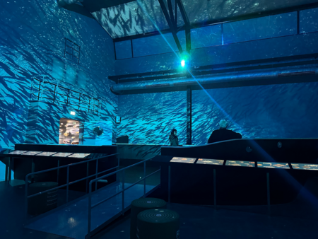 Besucher betrachten eine immersive Lichtprojektion mit schwimmenden Fischen im Raum des Fischbahnhofs.