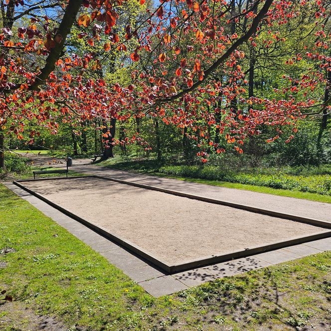 Sandige Boulebahn im Park, umgeben von Wiesen und Bäumen mit rotem Laub.