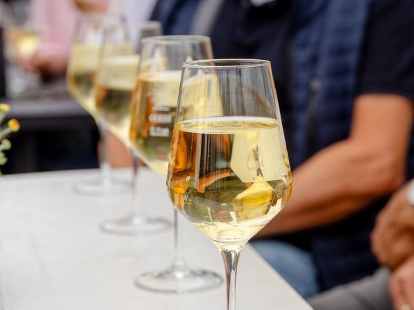 Menschen sitzen einem Tisch mit Weißweingläsern darauf