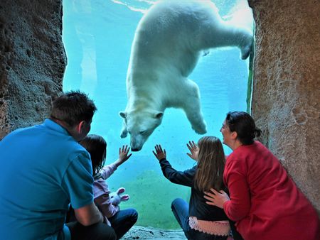 Familie betrachtet durch Glas einen schwimmenden Eisbären im Zoo am Meer Bremerhaven.