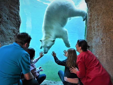 Familie betrachtet durch Glas einen schwimmenden Eisbären im Zoo am Meer Bremerhaven.