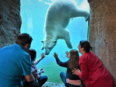 Familie betrachtet durch Glas einen schwimmenden Eisbären im Zoo am Meer Bremerhaven.