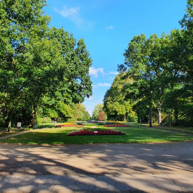 Bürgerpark