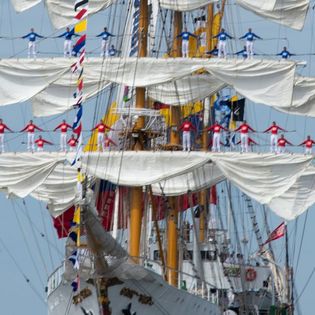 Sail 2015