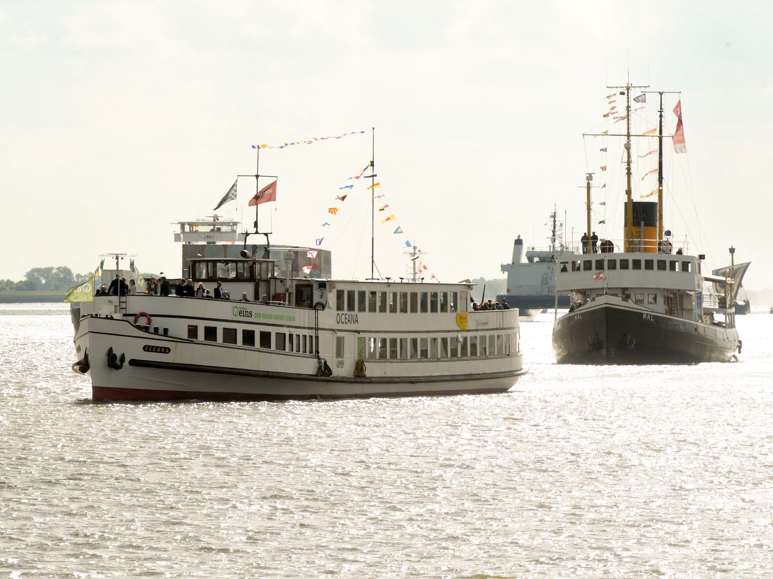 Das Motorschiff "Oceana" auf der Weser