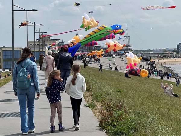 Zum Drachenfestival am Weserdeich werden in Bremerhaven wieder Dutzende besonderer Lenkdrachen und Skulpturen erwartet. 