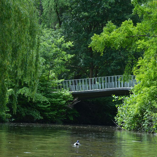 Bürgerpark Tretboot
