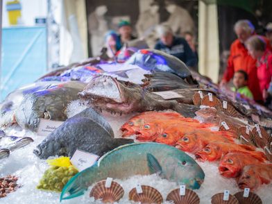 Das große Fischbett zur Fischparty in Bremerhaven