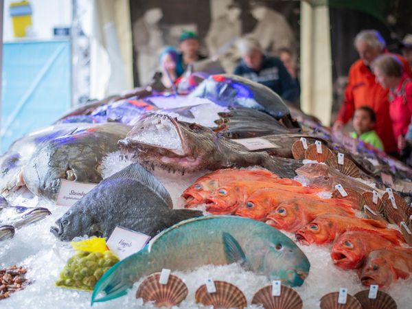 Das große Fischbett zur Fischparty in Bremerhaven