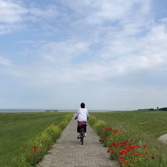 Eine Frau fährt mit dem Fahrrad auf einem Feldweg zwischen Wiesen durch.
