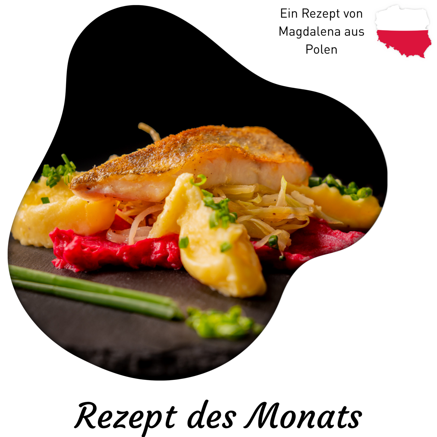 Gebratenes Zanderfilet auf sautiertem Weißkohl mit Rote Beete und Kartoffelpüree aus Polen