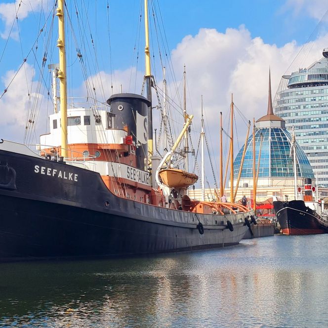 Historischer Hochseeschlepper Seefalke im Museumshafen Bremerhaven vor moderner Stadtkulisse