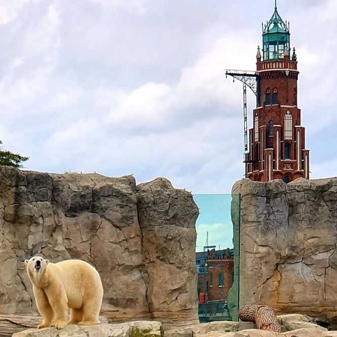 Zoo am Meer