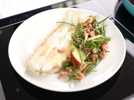 Weißer Teller mit gebratenem Seezungenfilet und einem Salat aus Salzwiesengrün, Queller und Nordseekrabben, angerichtet auf einem Induktionskochfeld in einer Küchenumgebung.
