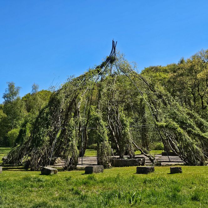Grünes, kuppelförmiges Weidenschloss aus lebenden Ästen auf einer Wiese unter blauem Himmel.