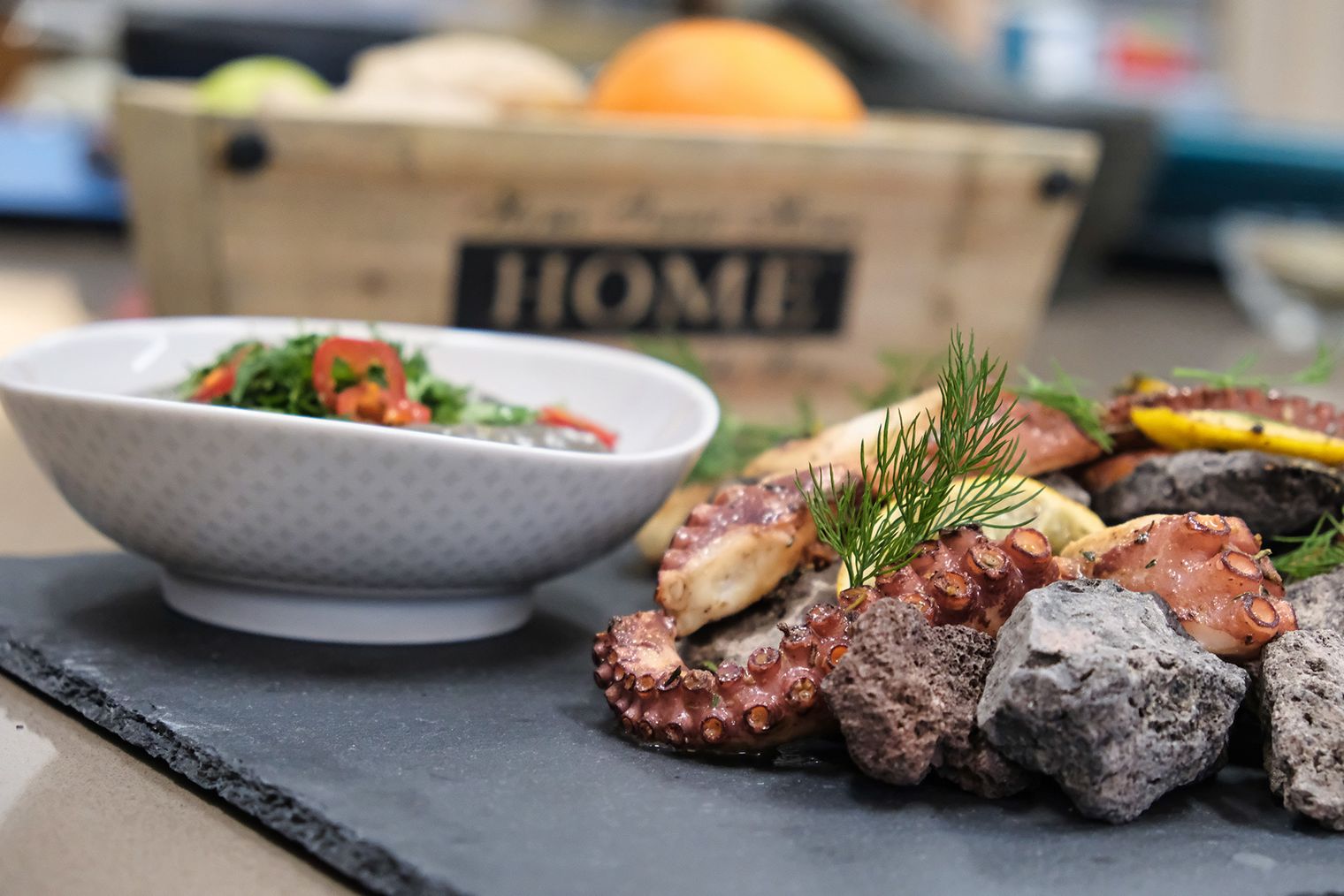 Schieferplatte mit Lavasteinen und Tintenfischarmen