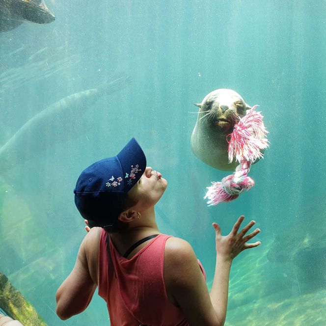 Zoo am Meer