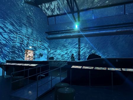 Multimediashow, Fischschwarm