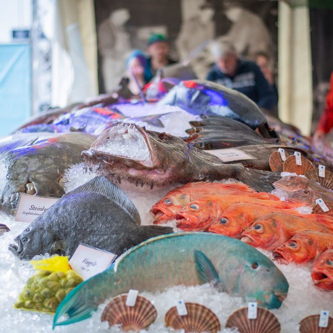 Das große Fischbett auf der Fischparty in Bremerhaven