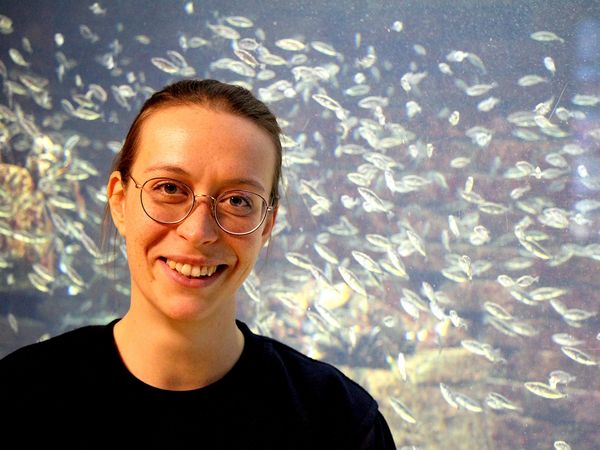 Setzt das Nordsee-Aquarium in Bremerhaven in Szene: Kuratorin Taissa Faust. 