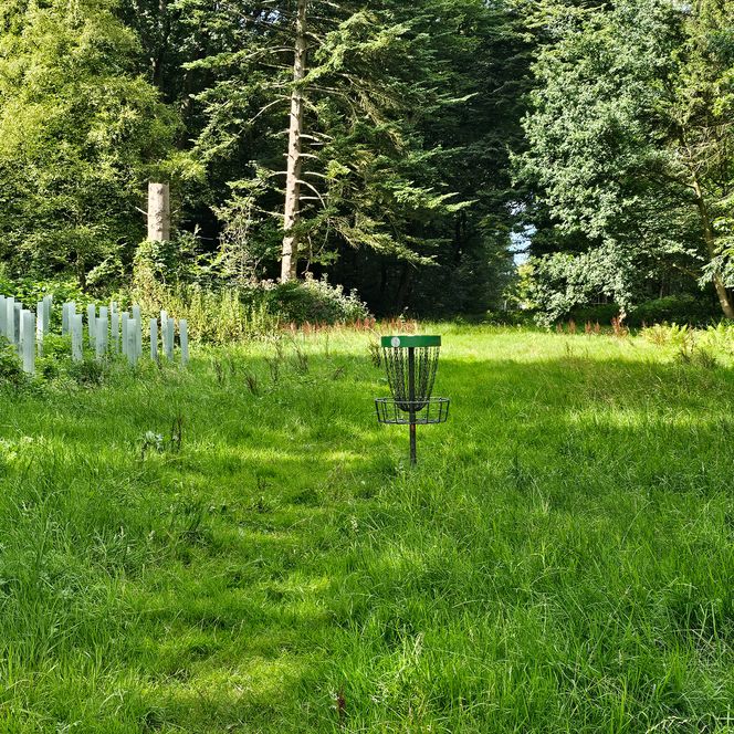 Bürgerpark Discgolf