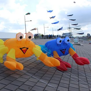 Drachenfest in Bremerhaven. Fliegende Drachen am Deich.