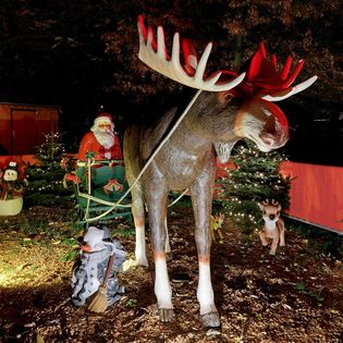 Großes Rentier mit Schlitten auf dem Weihnachtsmarkt