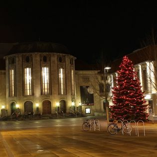 Beleuchteter Tannenbaum vor dem Stadttheater