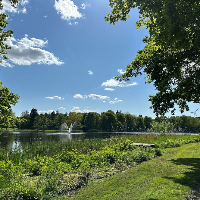 Sonniger Parkweg am Wasser mit Springbrunnen, grünen Wiesen und Bäumen unter blauem Himmel.