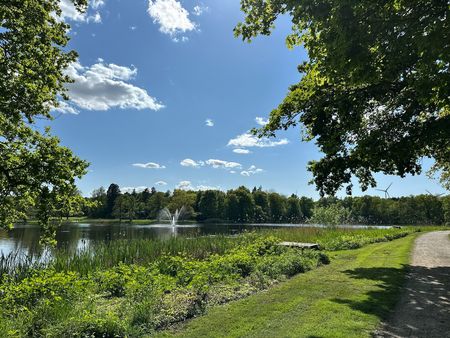 Sonniger Parkweg am Wasser mit Springbrunnen, grünen Wiesen und Bäumen unter blauem Himmel.