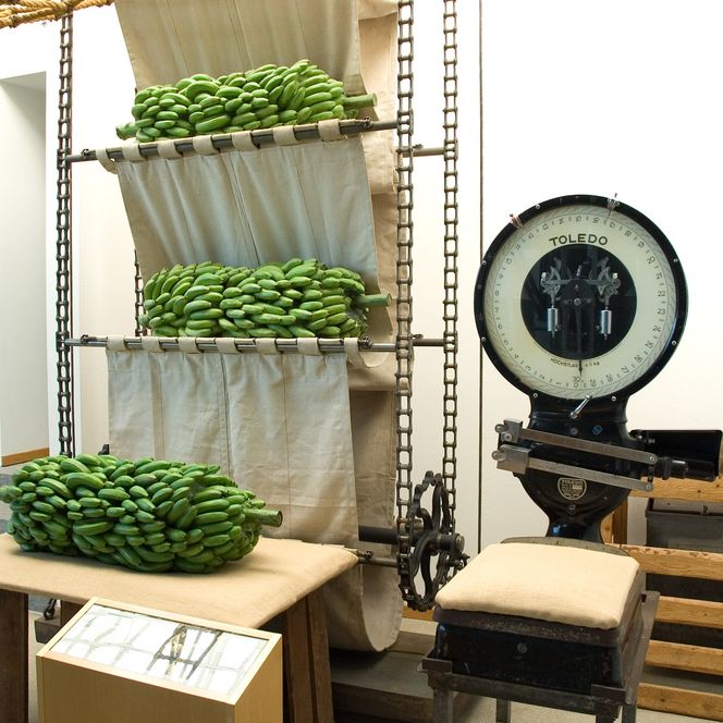 Bananenfahrstuhl im Historischen Museum