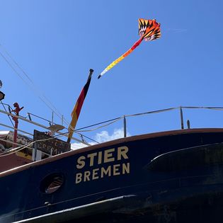 Ein Teil des Bugs der Stier im Museumshafen in Bremehaven