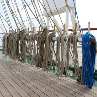 Das Vollschiff Dar Mlodziezy in Bremerhaven