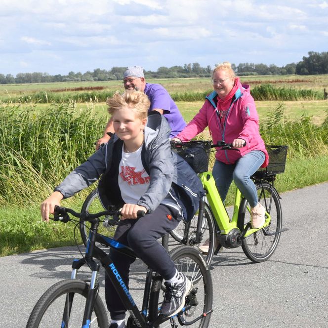 Familie fährt mit Fahrrädern durch das Naturschutzgebiet "Luneplate"