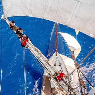 Der Blick von oben auf das Deck der Wylden Swan