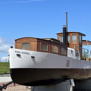 Das Bug der Paul Kossel